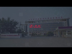 Τρεις ρίζες αναπνευστήρα με άμεση κίνηση ζεύξης 110KW-1400KW ονομαστική ισχύς