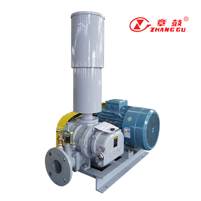 SSR ρίζες αντλία κενού ρίζες Booster αντλία κενού για αποστολή κρίσιμες διαδικασίες